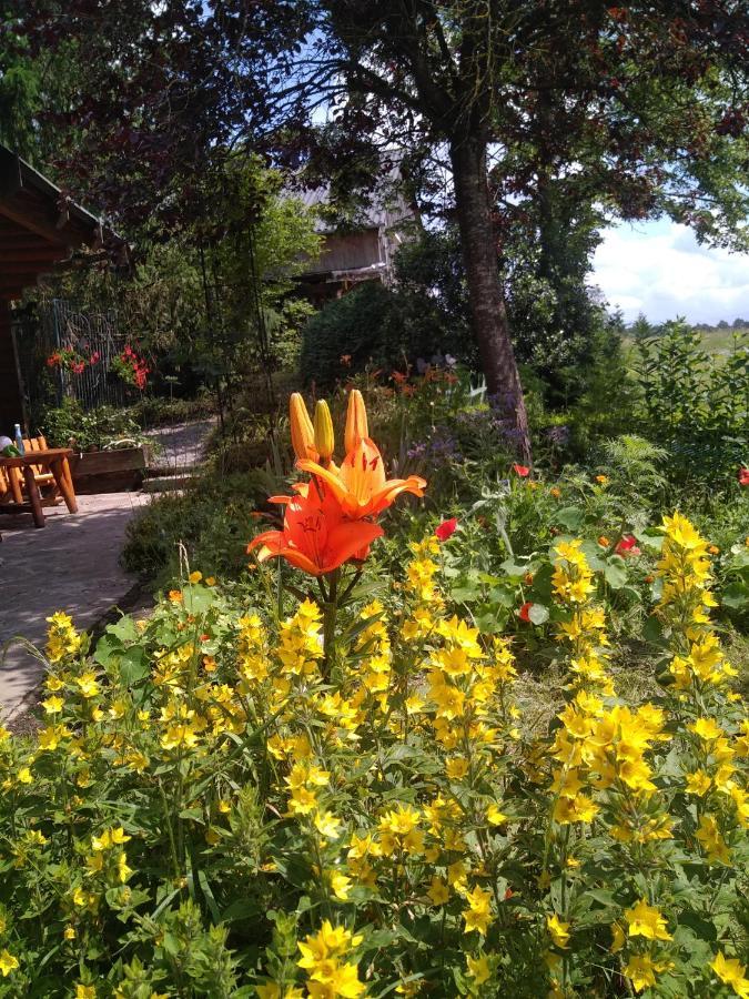 Au Paradou Du Bucheron Adults Only Lessive Εξωτερικό φωτογραφία